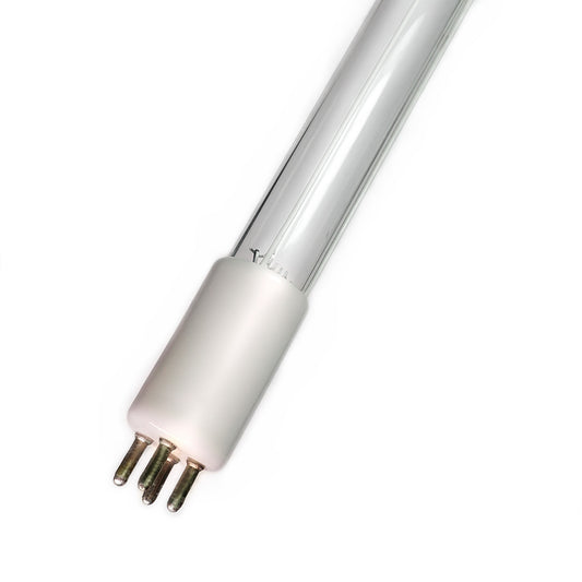 C300065
